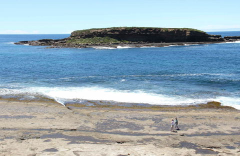 Wasp Head Picnic Area - Accommodation Sunshine Coast 0
