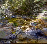 Washpool Walking Track - Accommodation Sunshine Coast
