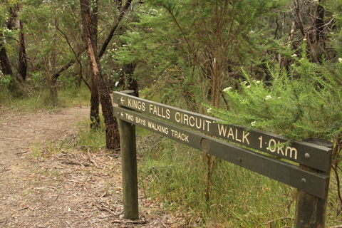 Waterfall Gully - Kings Falls Circuit Walk - Accommodation Sunshine Coast 0