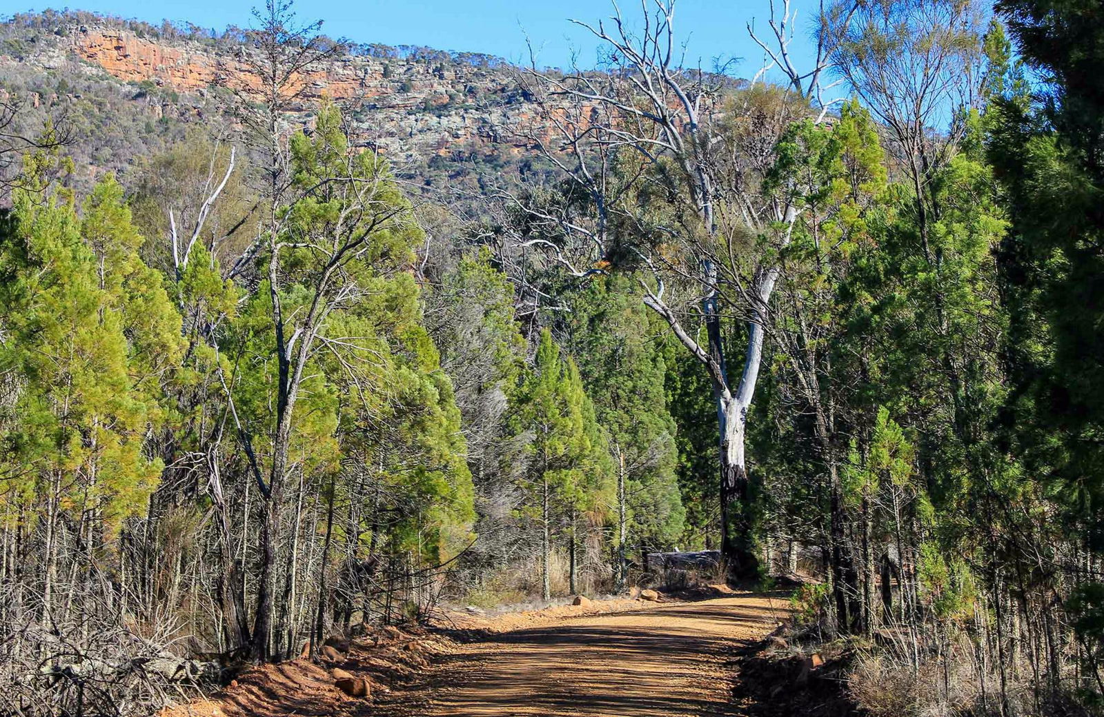  Accommodation Sunshine Coast