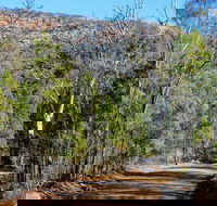 Weddin Gap to Black Spring Loop Trail - Accommodation Sunshine Coast