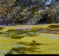 Wombeyan picnic area - Accommodation Sunshine Coast