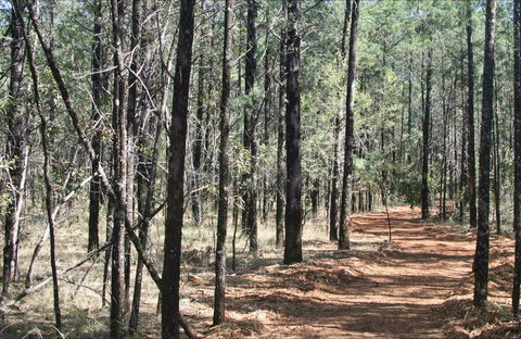 Yana-y Warruwi Walking Track - Accommodation Sunshine Coast 0