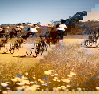 7 Peaks Ride - Dinner Plain - Accommodation Sunshine Coast