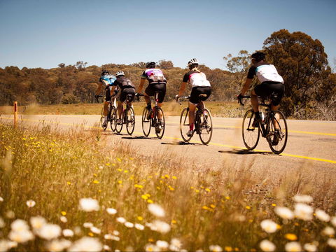 7 Peaks Ride - Dinner Plain - Accommodation Sunshine Coast 0