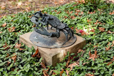 Antony Symons - Retrospective Of A Life's Work - Accommodation Sunshine Coast 0