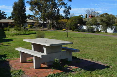 Apex Park & Picnic Area - Accommodation Sunshine Coast 1