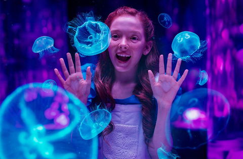 Australia's Sea World - Accommodation Sunshine Coast 0