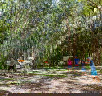 Ballina Disc Golf - Accommodation Sunshine Coast