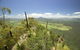 Border Ranges National Park - thumb 0