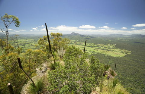 Border Ranges National Park - Accommodation Sunshine Coast 0