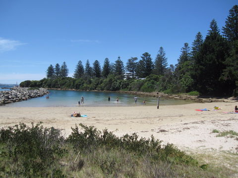 Bruce Steer Pool - Accommodation Sunshine Coast 1