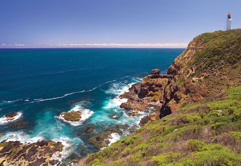 Bushrangers Bay Walking Track - Accommodation Sunshine Coast 0