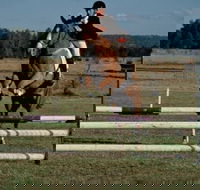 Camden Bicentennial Equestrian Park - Accommodation Sunshine Coast