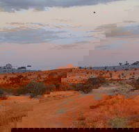 Castle Rock walk and Lookout - Accommodation Sunshine Coast
