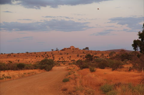 Castle Rock Walk And Lookout - Accommodation Sunshine Coast 0