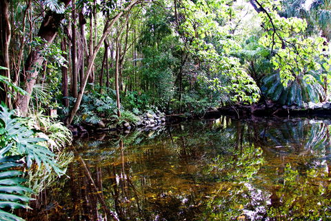 Cascade Gardens - Accommodation Sunshine Coast 2
