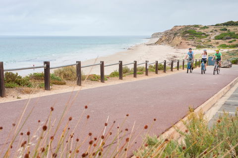 Coast To Vines Rail Trail - Accommodation Sunshine Coast 0
