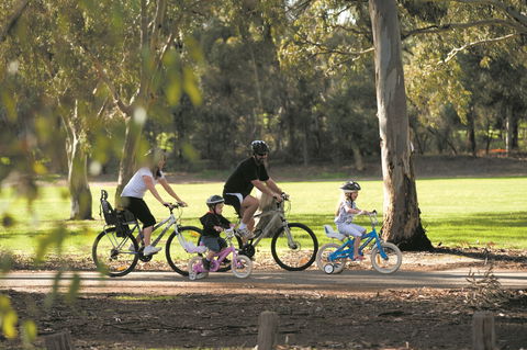 Coast To Vines Rail Trail - Accommodation Sunshine Coast 1