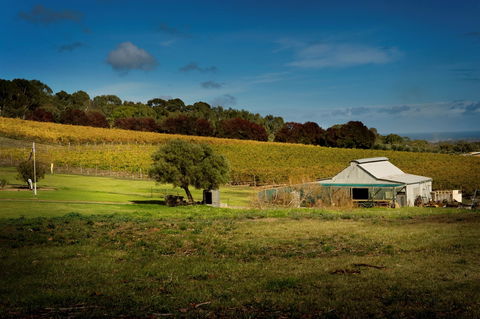 Coast To Vines Rail Trail - Accommodation Sunshine Coast 2