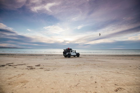 Coorong National Park - Accommodation Sunshine Coast 0