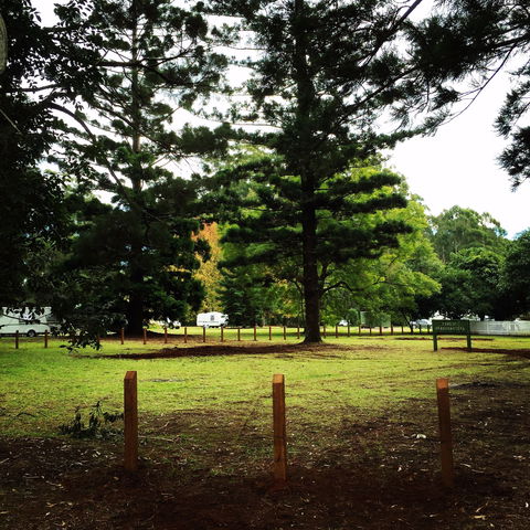 Coopernook Forest HQ - Accommodation Sunshine Coast 2