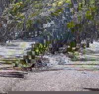 Coolah Tops National Park - Accommodation Sunshine Coast