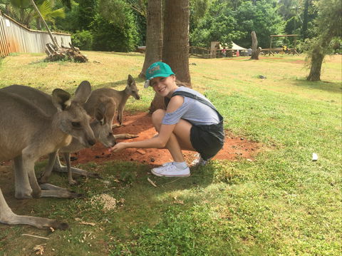 Cooberrie Park Wildlife Sanctuary - Accommodation Sunshine Coast 1