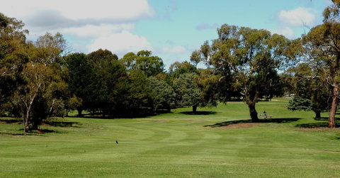Cooma Golf Club - Accommodation Sunshine Coast 0