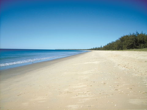Coral Coast Pathways (Woodgate Beach Section) - Accommodation Sunshine Coast 0