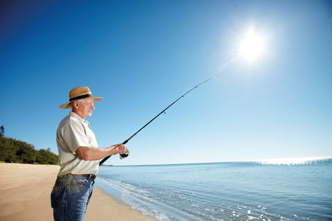 Coral Coast Pathways (Woodgate Beach Section) - Accommodation Sunshine Coast 1