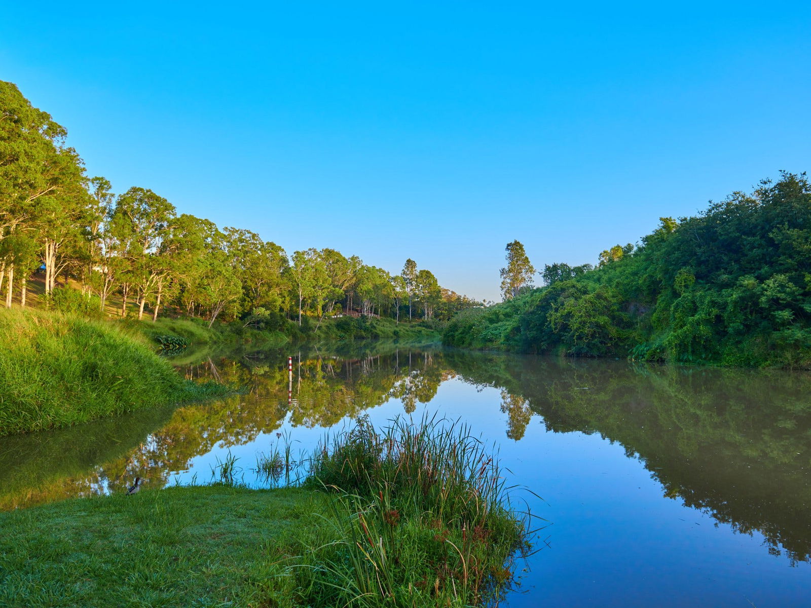 Bardon QLD Accommodation Sunshine Coast