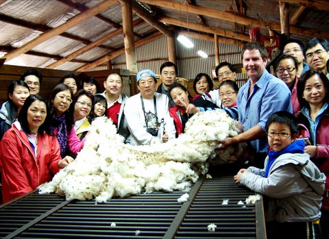 Curringa Farm - Accommodation And Farm Tours - Accommodation Sunshine Coast 2