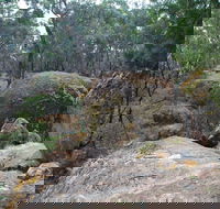 Dergholm State Park - Accommodation Sunshine Coast