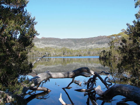 Derwent Bridge - Accommodation Sunshine Coast 0