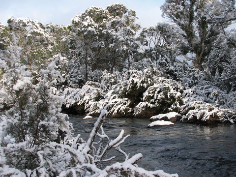 Derwent Bridge - Accommodation Sunshine Coast 2