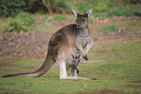 Donnelly River - Accommodation Sunshine Coast 0