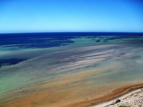 Eagle Bluff - Accommodation Sunshine Coast 2