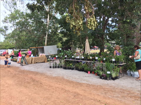 Fred's Pass Rural Market - Accommodation Sunshine Coast 0