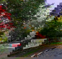 George Tindale Memorial Gardens - Accommodation Sunshine Coast