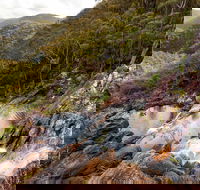 Gibraltar Range National Park - Accommodation Sunshine Coast