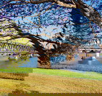 Grafton 'Bendy' Bridge - Accommodation Sunshine Coast