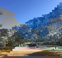 Grenfell Endemic Garden - Accommodation Sunshine Coast