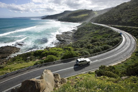 Great Ocean Road - Accommodation Sunshine Coast 0