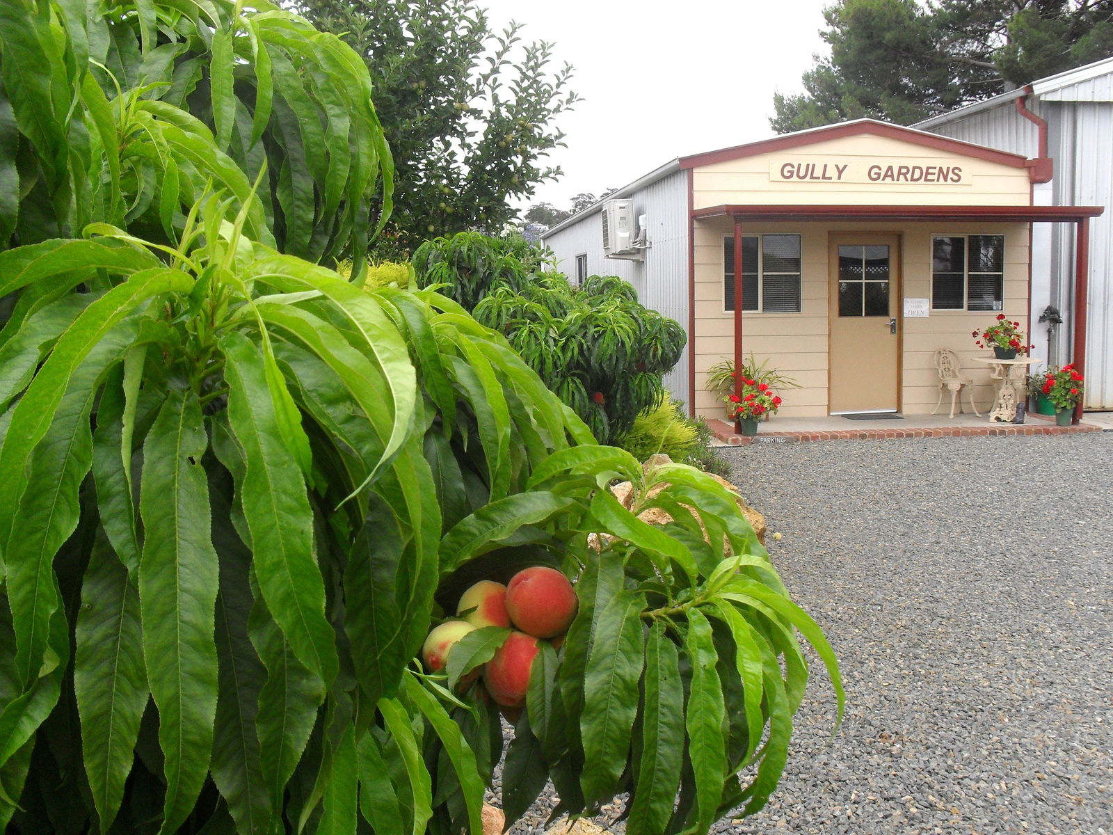 Angaston SA Accommodation Sunshine Coast