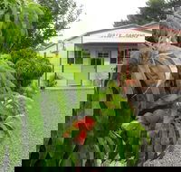 Gully Gardens - Accommodation Sunshine Coast