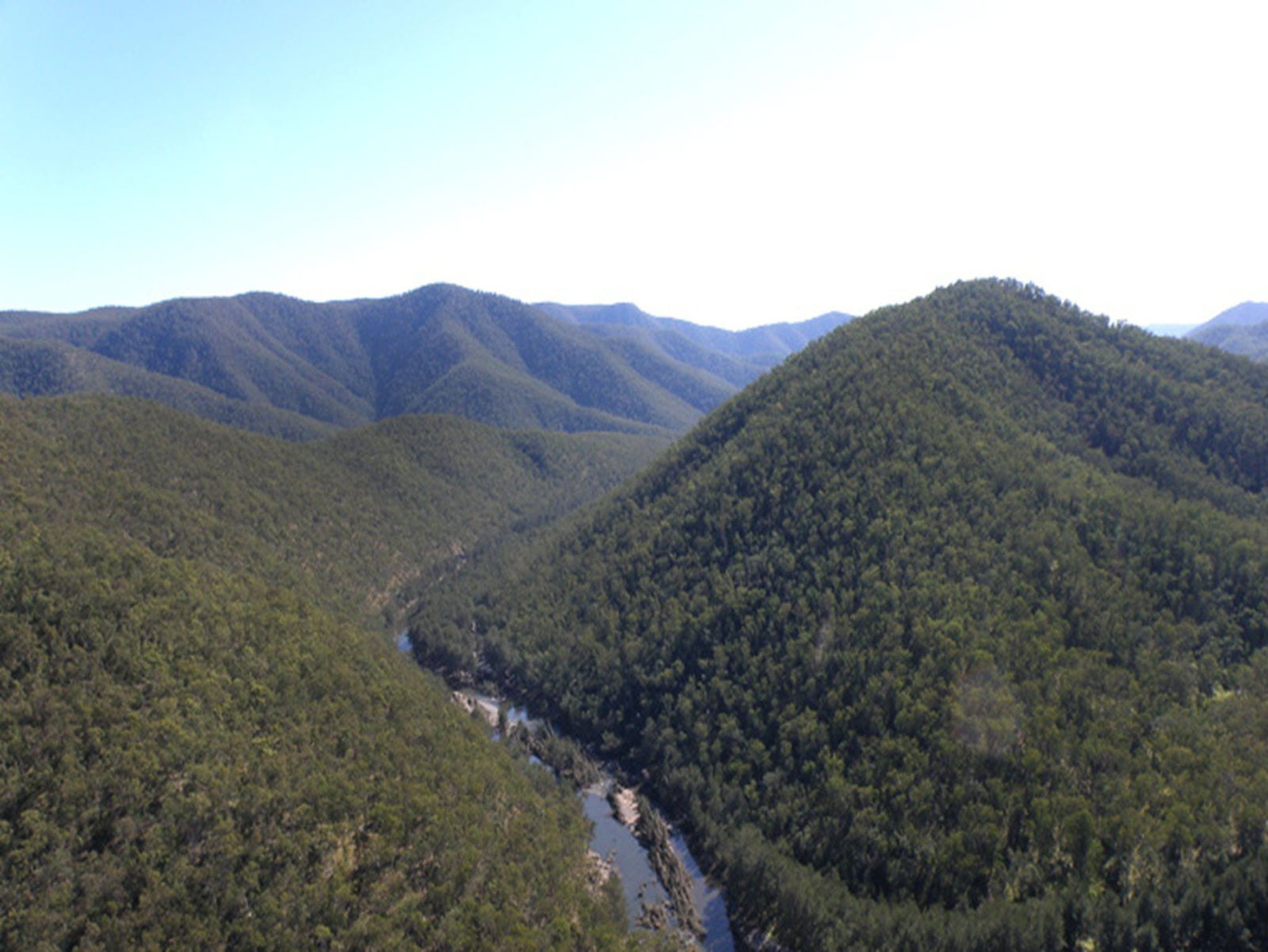 Chaelundi NSW Accommodation Sunshine Coast