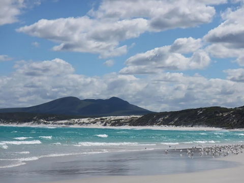 Hakea Walk Trail, East Fitzgerald National Park - Accommodation Sunshine Coast 0