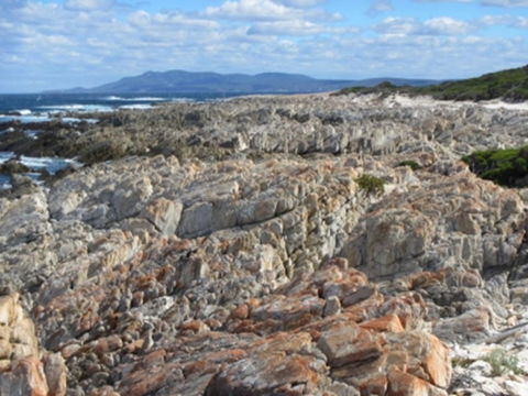 Hakea Walk Trail, East Fitzgerald National Park - Accommodation Sunshine Coast 1