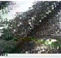 Henty Government Dam Nature Reserve - Accommodation Sunshine Coast